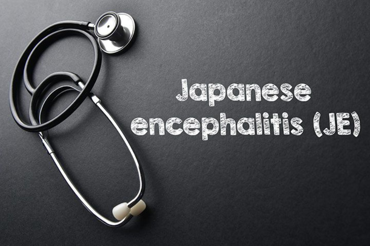 Vaksin Japanese Encephalitis: Panduan Medis Lengkap untuk Perlindungan dari Infeksi Otak Akibat Virus